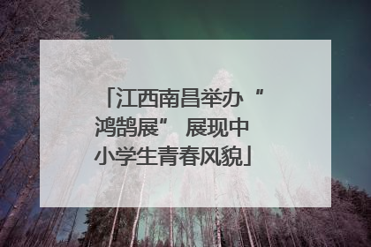 江西南昌举办“鸿鹄展” 展现中小学生青春风貌