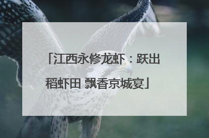 江西永修龙虾：跃出稻虾田 飘香京城宴