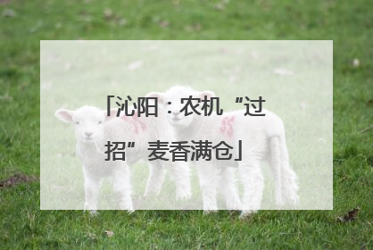 沁阳：农机“过招”麦香满仓