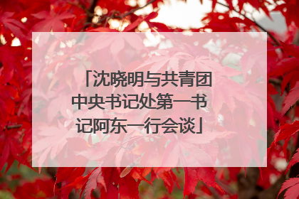 沈晓明与共青团中央书记处第一书记阿东一行会谈
