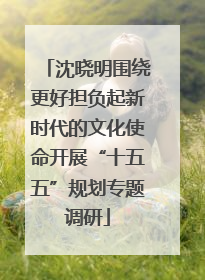 沈晓明围绕更好担负起新时代的文化使命开展“十五五”规划专题调研