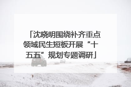 沈晓明围绕补齐重点领域民生短板开展“十五五”规划专题调研