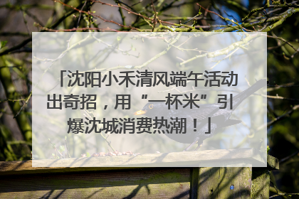 沈阳小禾清风端午活动出奇招，用“一杯米”引爆沈城消费热潮！