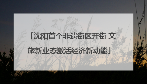 沈阳首个非遗街区开街 文旅新业态激活经济新动能