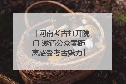 河南考古打开院门 邀请公众零距离感受考古魅力