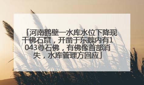 河南鹤壁一水库水位下降现千佛石窟，开凿于东魏内有1043尊石佛，有佛像首部消失，水库管理方回应