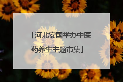 河北安国举办中医药养生主题市集