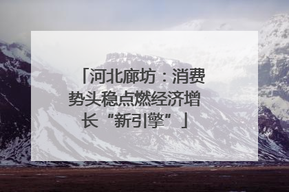 河北廊坊：消费势头稳点燃经济增长“新引擎”