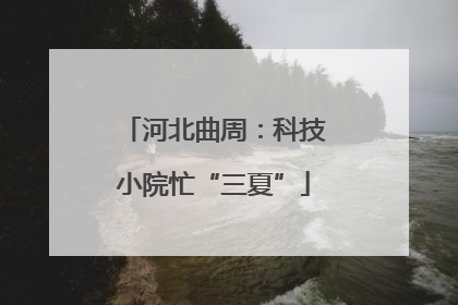 河北曲周：科技小院忙“三夏”