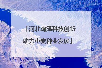 河北鸡泽科技创新助力小麦种业发展