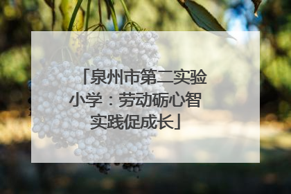 泉州市第二实验小学：劳动砺心智实践促成长