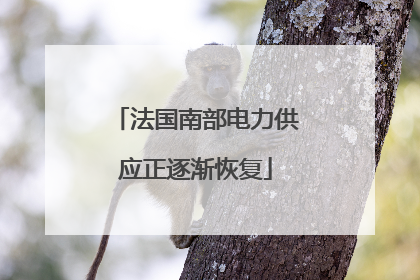 法国南部电力供应正逐渐恢复