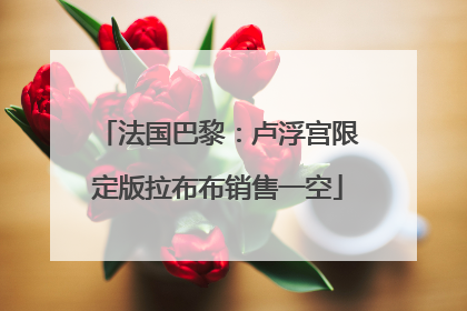 法国巴黎：卢浮宫限定版拉布布销售一空