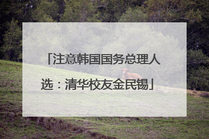 注意韩国国务总理人选：清华校友金民锡