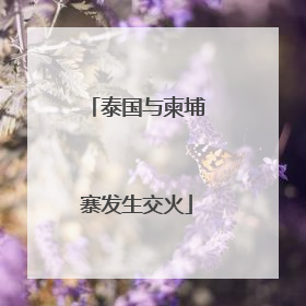 泰国与柬埔寨发生交火