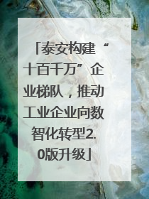 泰安构建“十百千万”企业梯队，推动工业企业向数智化转型2.0版升级