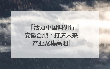 活力中国调研行丨安徽合肥：打造未来产业聚集高地
