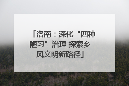 洛南：深化“四种陋习”治理 探索乡风文明新路径
