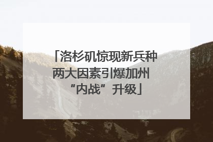 洛杉矶惊现新兵种 两大因素引爆加州“内战”升级