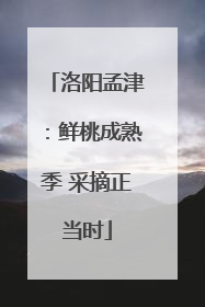 洛阳孟津：鲜桃成熟季 采摘正当时
