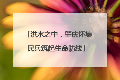 洪水之中，肇庆怀集民兵筑起生命防线