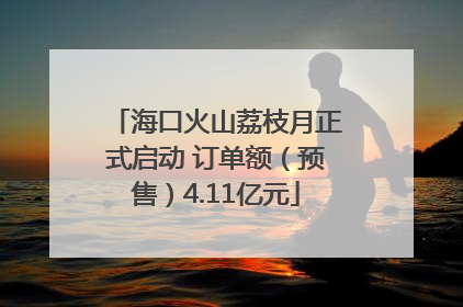 海口火山荔枝月正式启动 订单额（预售）4.11亿元