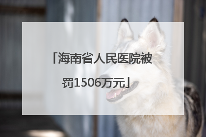 海南省人民医院被罚1506万元