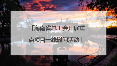 海南省总工会开展重点项目一线慰问活动