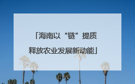 海南以“链”提质 释放农业发展新动能