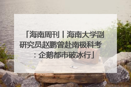 海南周刊丨海南大学副研究员赵鹏曾赴南极科考：企鹅都市破冰行