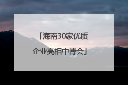 海南30家优质企业亮相中博会