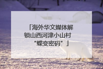 海外华文媒体解锁山西河津小山村“蝶变密码”