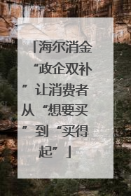 海尔消金“政企双补”让消费者从“想要买”到“买得起”