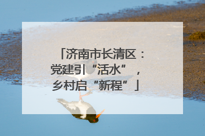 济南市长清区：党建引“活水”，乡村启“新程”