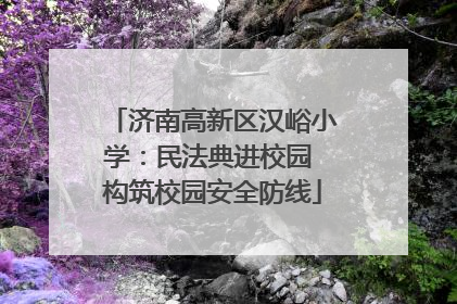 济南高新区汉峪小学：民法典进校园 构筑校园安全防线