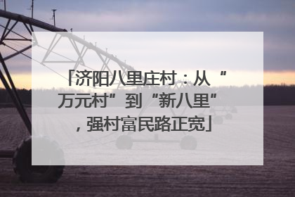 济阳八里庄村：从“万元村”到“新八里”，强村富民路正宽