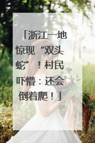 浙江一地惊现“双头蛇”！村民吓懵：还会倒着爬！