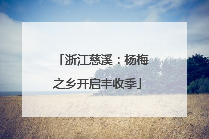 浙江慈溪：杨梅之乡开启丰收季