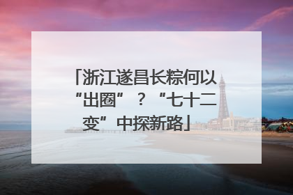浙江遂昌长粽何以“出圈”？“七十二变”中探新路