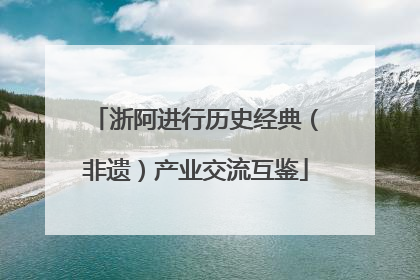 浙阿进行历史经典（非遗）产业交流互鉴