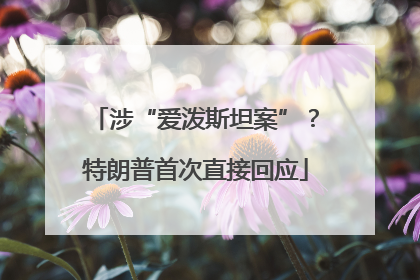 涉“爱泼斯坦案”？特朗普首次直接回应