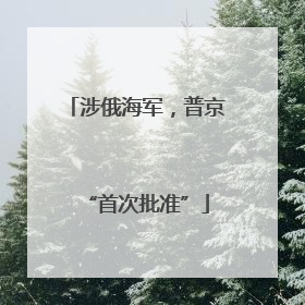 涉俄海军，普京“首次批准”