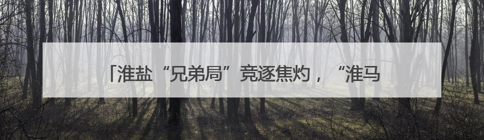 淮盐“兄弟局”竞逐焦灼，“淮马”最后时刻0:1憾负“盐鹿”