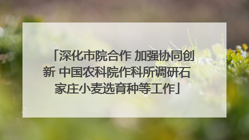 深化市院合作 加强协同创新 中国农科院作科所调研石家庄小麦选育种等工作