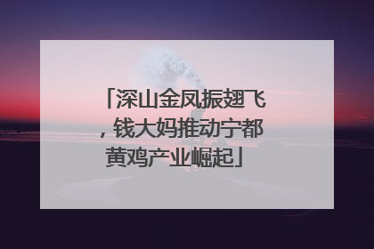 深山金凤振翅飞，钱大妈推动宁都黄鸡产业崛起
