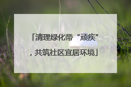 清理绿化带“顽疾”，共筑社区宜居环境