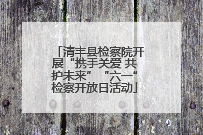 清丰县检察院开展“携手关爱 共护未来”“六一”检察开放日活动