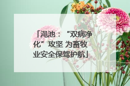 渑池：“双病净化”攻坚 为畜牧业安全保驾护航