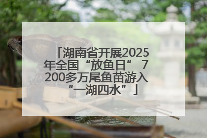 湖南省开展2025年全国“放鱼日” 7200多万尾鱼苗游入“一湖四水”