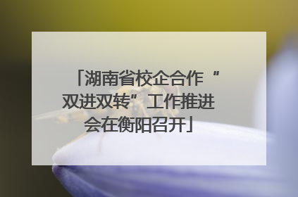 湖南省校企合作“双进双转”工作推进会在衡阳召开